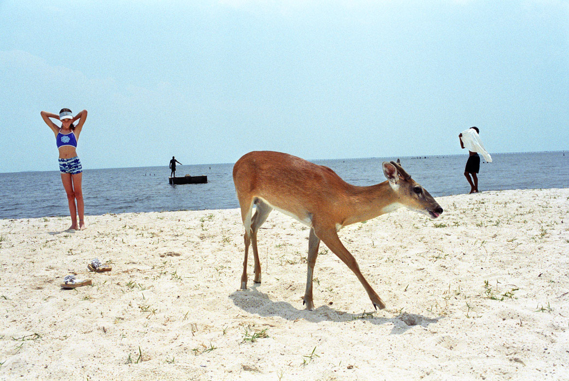 Verenigde Staten 2002
Lake Pontchartrain in Louisiana